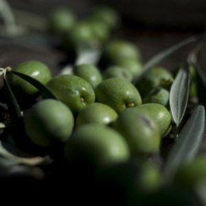 #Olivenöl #Schoko #Solche #Produkte #Zustandekommen #Spanien #Zurückgerufen