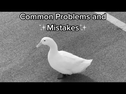 How one can Choose Up a Duck #1 (full video)